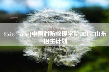 东海中国消防救援学院2021年山东招生计划