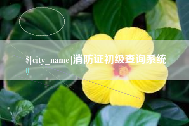 东海消防证初级查询系统