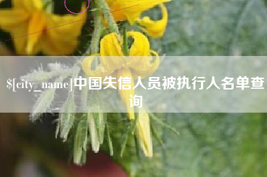 东海中国失信人员被执行人名单查询