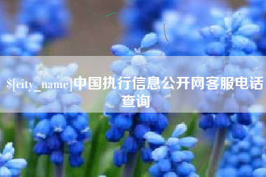 东海中国执行信息公开网客服电话查询
