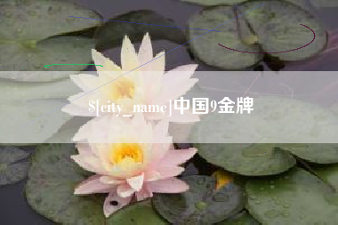 东海中国9金牌