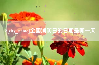 东海全国消防日的日期是哪一天