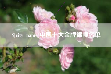 东海中国十大金牌律师名单