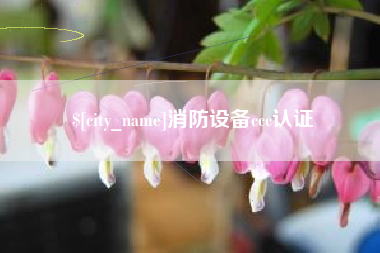 东海消防设备ccc认证