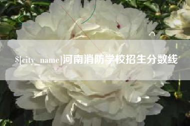东海河南消防学校招生分数线