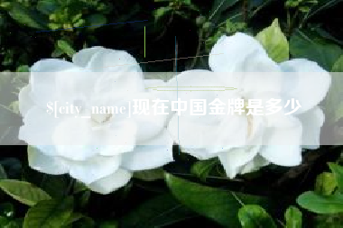 东海现在中国金牌是多少