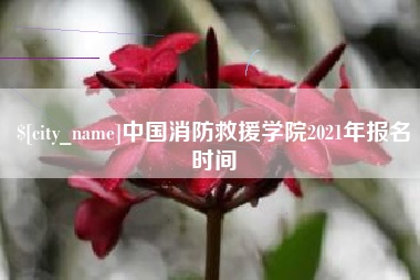 东海中国消防救援学院2021年报名时间