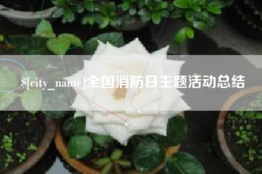 东海全国消防日主题活动总结