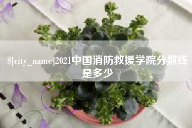 东海2021中国消防救援学院分数线是多少