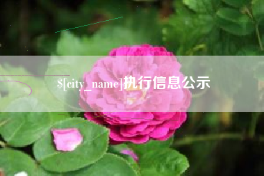 东海执行信息公示