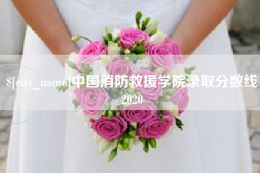东海中国消防救援学院录取分数线2020
