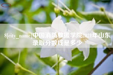 东海中国消防救援学院2021年山东录取分数线是多少