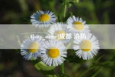 东海成都 消防