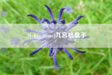 东海九宫格盘子