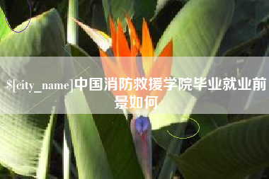 东海中国消防救援学院毕业就业前景如何