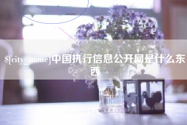 东海中国执行信息公开网是什么东西