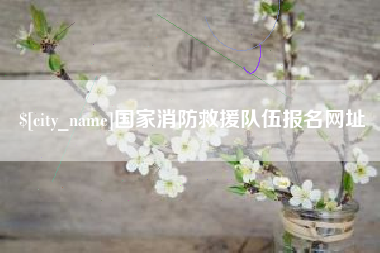 东海国家消防救援队伍报名网址