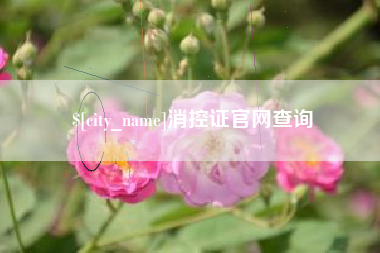 东海消控证官网查询