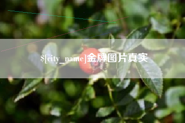 东海金牌图片真实