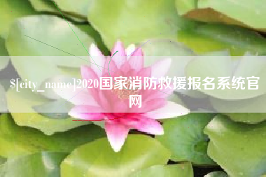东海2020国家消防救援报名系统官网