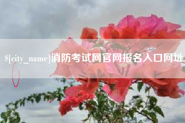 东海消防考试网官网报名入口网址