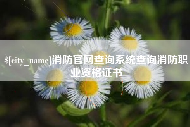 东海消防官网查询系统查询消防职业资格证书