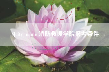 东海消防救援学院报考条件