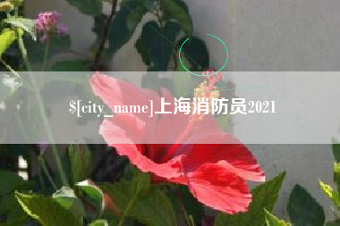 东海上海消防员2021