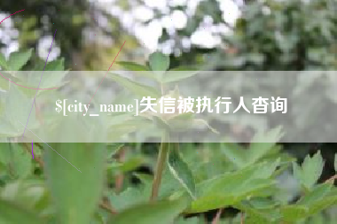 东海失信被执行人杳询