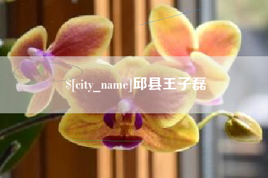 东海邱县王子磊