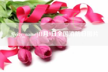 东海11月9日全国消防日图片