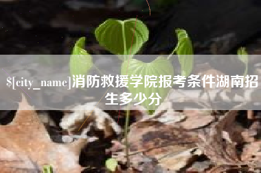 东海消防救援学院报考条件湖南招生多少分
