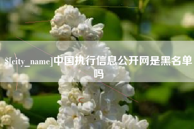 东海中国执行信息公开网是黑名单吗