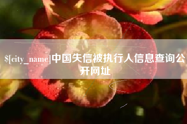 东海中国失信被执行人信息查询公开网址