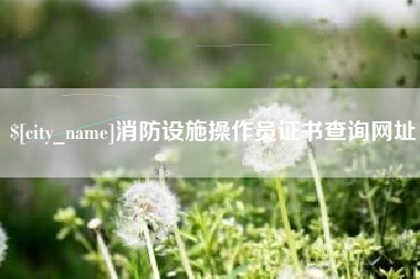 东海消防设施操作员证书查询网址
