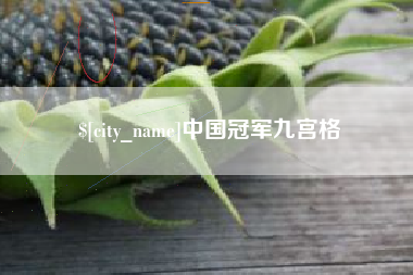 东海中国冠军九宫格