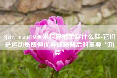 东海5000米世界冠军穿什么鞋-它们是运动员取得优异成绩背后的重要“功臣”