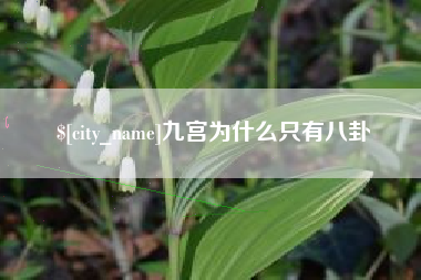 东海九宫为什么只有八卦