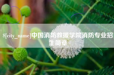 东海中国消防救援学院消防专业招生简章
