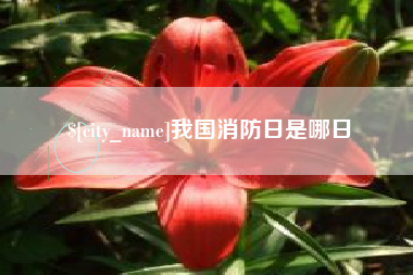 东海我国消防日是哪日