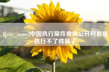 东海中国执行案件查询公开网都是执行不了得案子