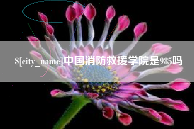东海中国消防救援学院是985吗