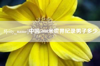 东海中国5000米世界纪录男子多少