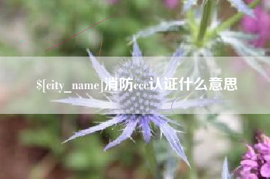东海消防ccc认证什么意思