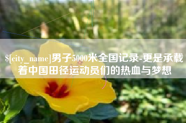 东海男子5000米全国记录-更是承载着中国田径运动员们的热血与梦想