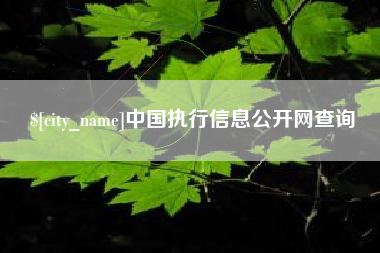 东海中国执行信息公开网查询