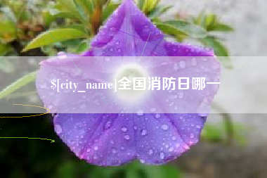 东海全国消防日哪一