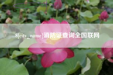 东海消防证查询全国联网