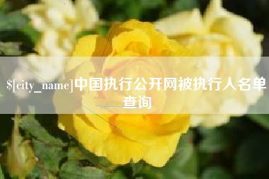 东海中国执行公开网被执行人名单查询