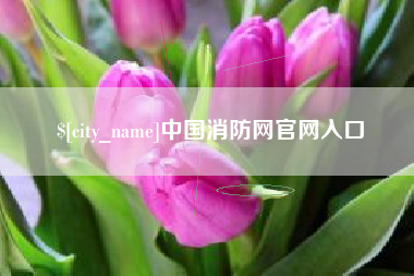 东海中国消防网官网入口